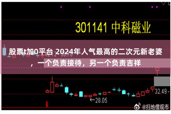 股票t加0平台 2024年人气最高的二次元新老婆，一个负责接待，另一个负责吉祥