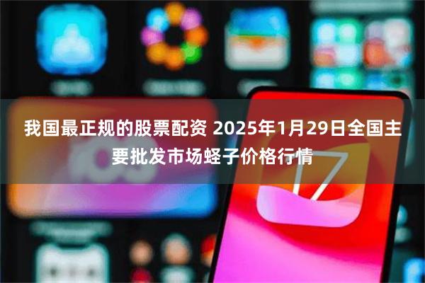 我国最正规的股票配资 2025年1月29日全国主要批发市场蛏子价格行情