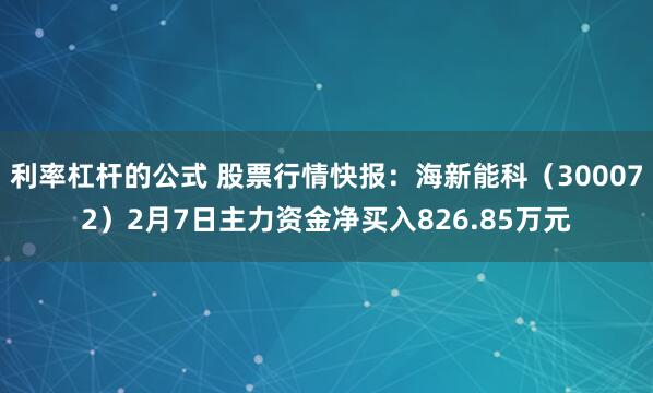 利率杠杆的公式 股票行情快报：海新能科（300072）2月7日主力资金净买入826.85万元