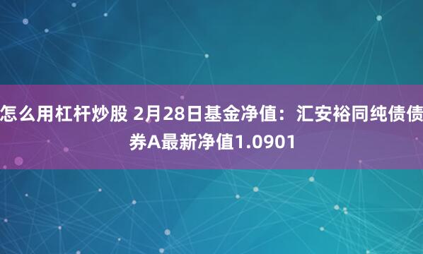 怎么用杠杆炒股 2月28日基金净值：汇安裕同纯债债券A最新净值1.0901